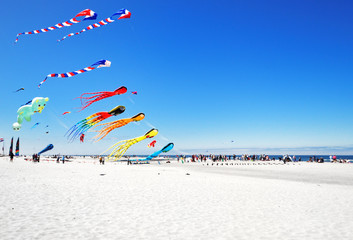 Kite Festival At Oregon