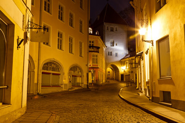 Fototapeta na wymiar Ulica w nocy na Starym Mieście w Tallinie, Estonia