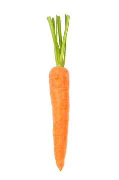 Carrot on White