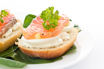 sandwich with red fish