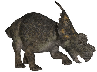 Achelousaurus - 3D Dinosaurier