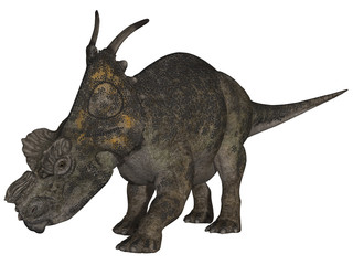 Achelousaurus - 3D Dinosaurier