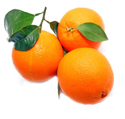 Oranges feuille