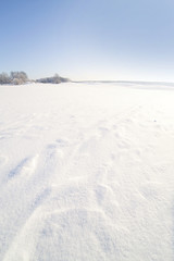 Fototapeta na wymiar Winter landscape.