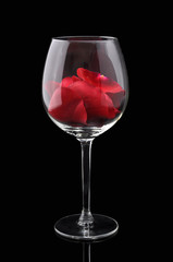 Cup of rose petals