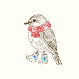 Pen and ink illustration of bird in scarf