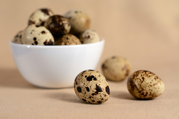 quail eggs