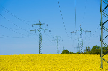 high-voltage line in yellow field