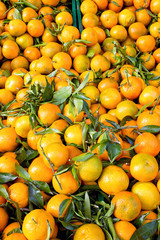 Fresh clementines with green leaves on a market