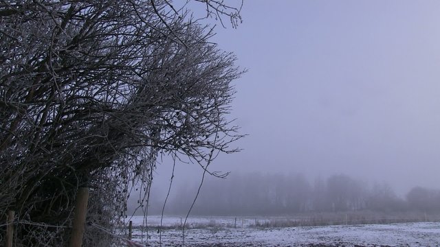nature en hiver