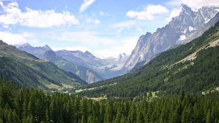 Ferret valley