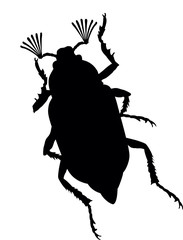 Maybug vector silhouette