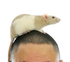 rat on person's head