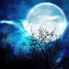 Fototapeta na wymiar illustration of the night with a fool moon