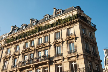 Fototapeta na wymiar Paryskim budynku w rogu z zielonymi tarasami