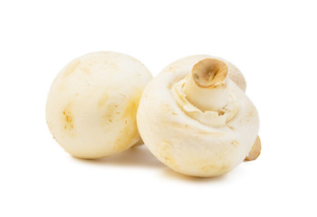 mushrooms on a white background