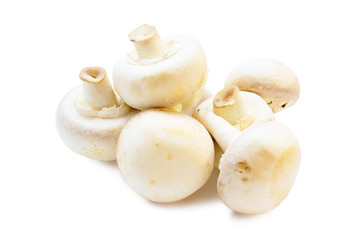 mushrooms on a white background