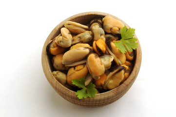 Mytilus galloprovincialis