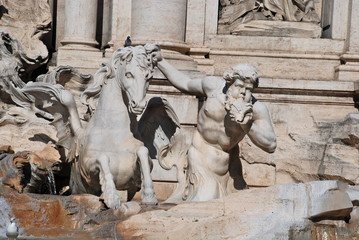Cavallo Placido, Fontana di Trevi, Roma