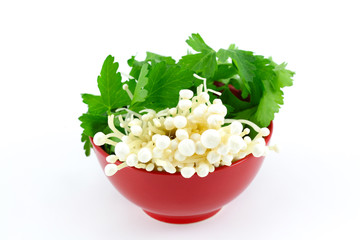 Enoki mushrooms with parsley in red bowl, isolated