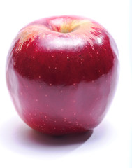 red apple on a white background