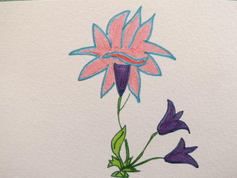 dessin 