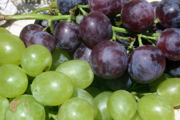 Grapes on a stone background