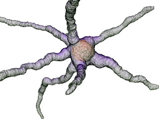 Cellula neurone virus batterio microbo