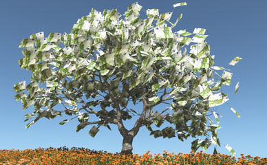 Albero dei soldi