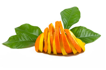 Orange Zitrone Citrus