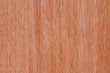Oak wood background