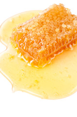 Fresh honey and honeycomb, close-up, white background