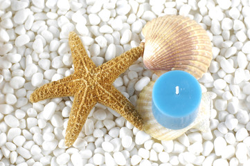 Fototapeta na wymiar blue candle with starfish and sea shells on pebble