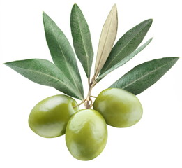 Olives with leaves on a white