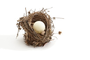 Small bird nest with ping-pong ball instead of egg isolated