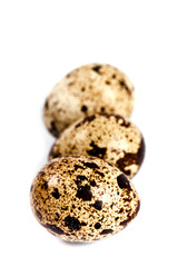 three quail eggs