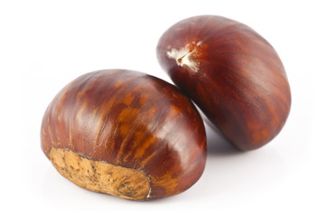 two chestnut