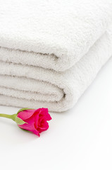 White towels and red rose spa concept