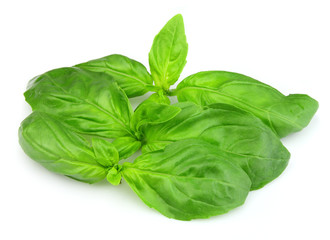 Fresh basil
