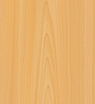 wooden texture vector illustration