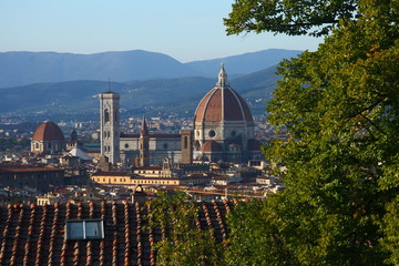 Fototapeta premium Florence: vue du ciel