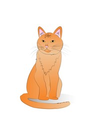 Orange Cat Vector Illustration