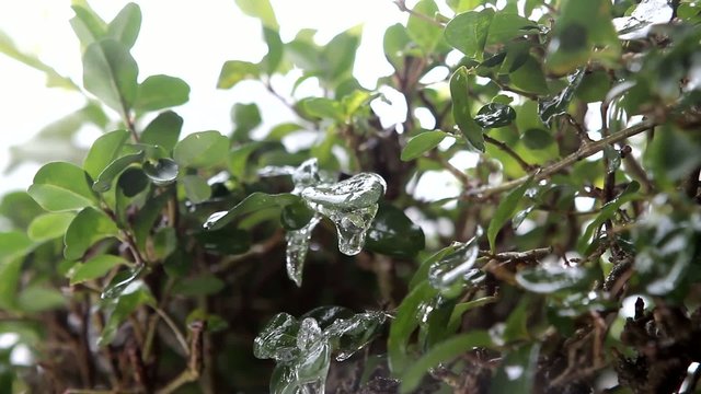 gocce d'acqua