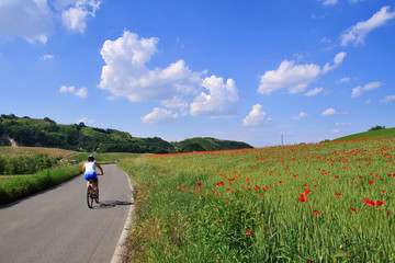 Vigolo Marchese, Castell'Arquato, campagna