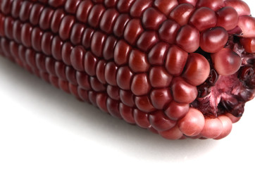 Sweet red corn isolated on white