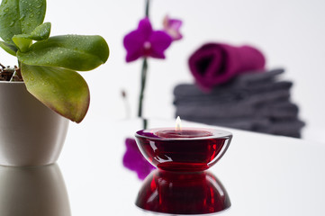 Wellness Kerze Blume