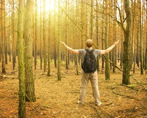 Young man standing in the forest