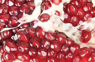 pomegranate seeds   close-up image as  background