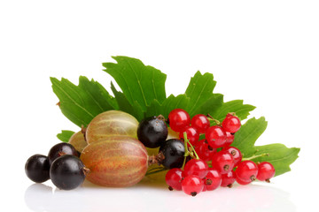 berries and leaves isolated on white
