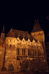 Fototapeta na wymiar castle at the night time, Budapest